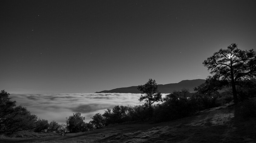 Los Padres National Forest