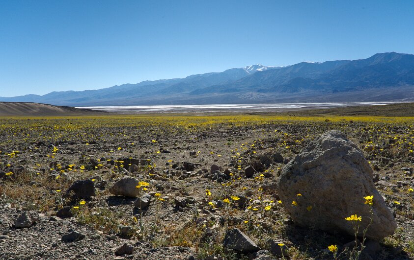 Badwater Basin