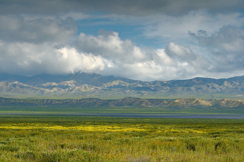 Carrizo Plain