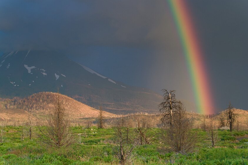 Mount Shasta