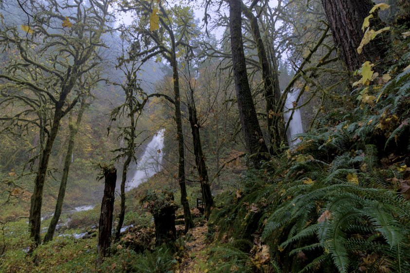 Kentucky Falls