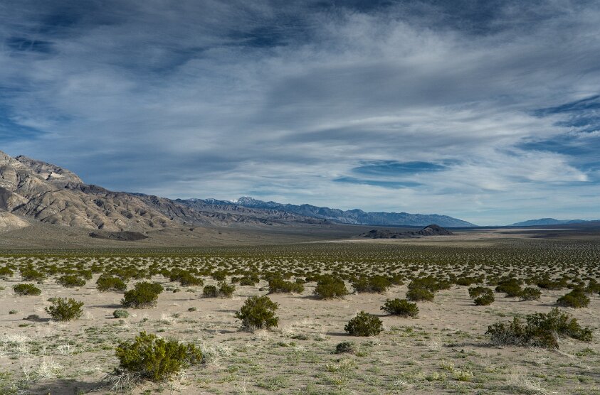 Panamint Dunes