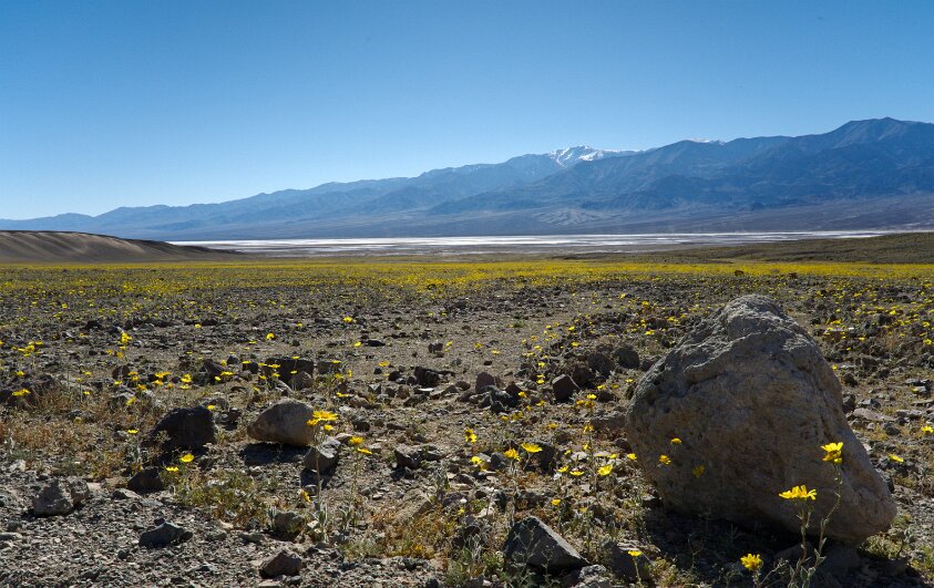 Badwater Basin