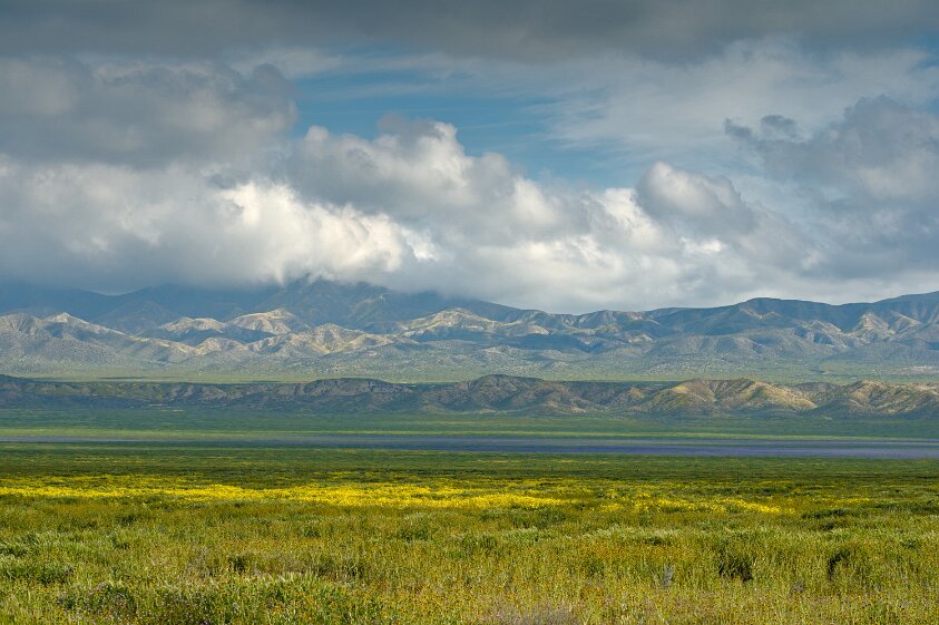 Carrizo Plain