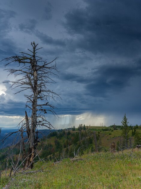 Distant rain