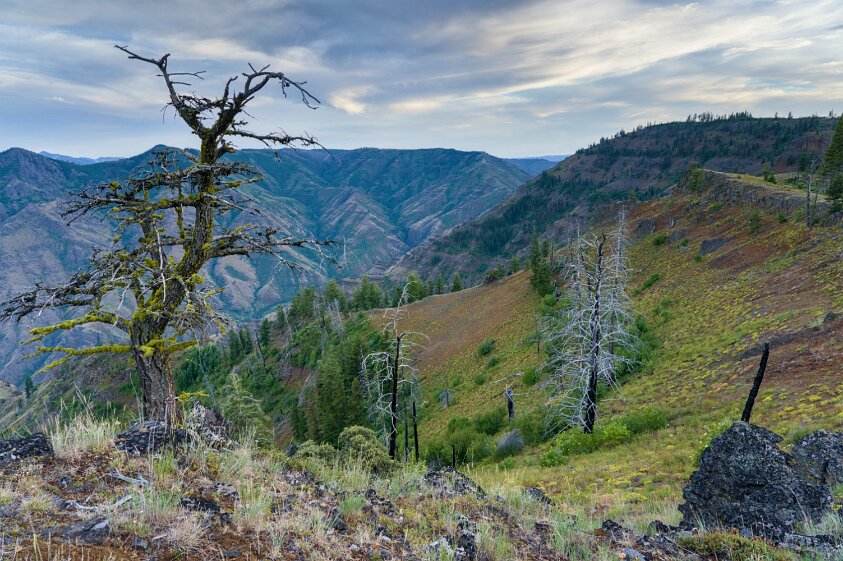 Hat Point Road