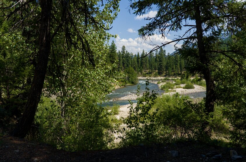 Campsite #7