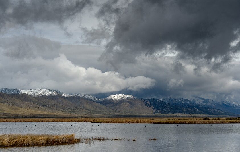 Ruby Lake NWR