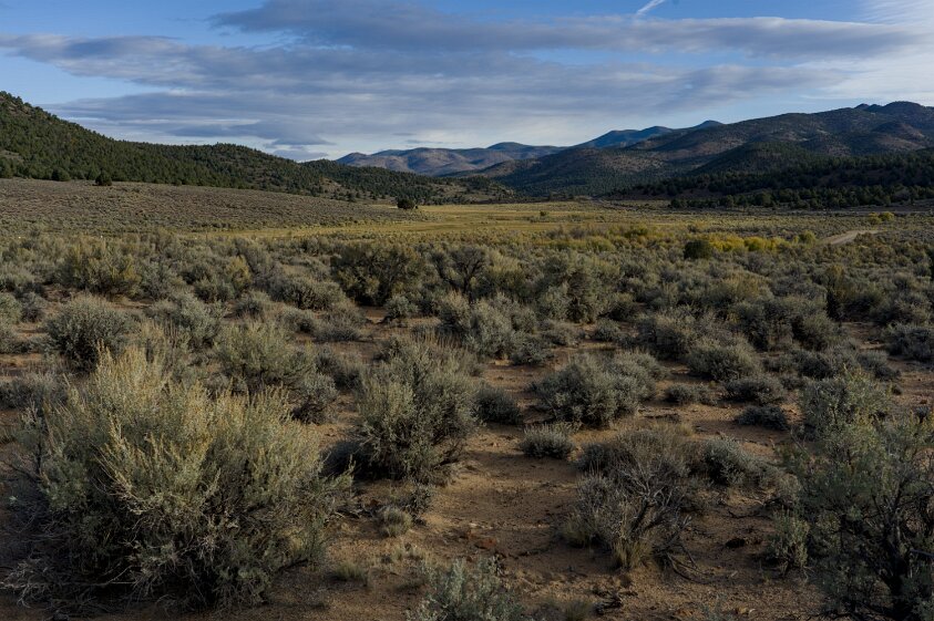 Sweetwater Summit